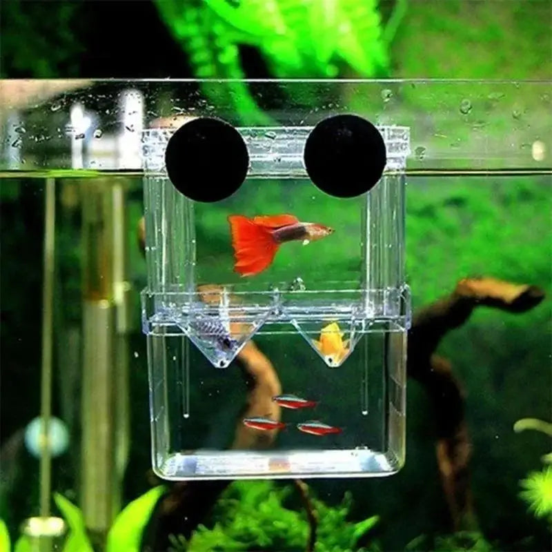 AquaNest Floating Breeding & Recovery Chamber