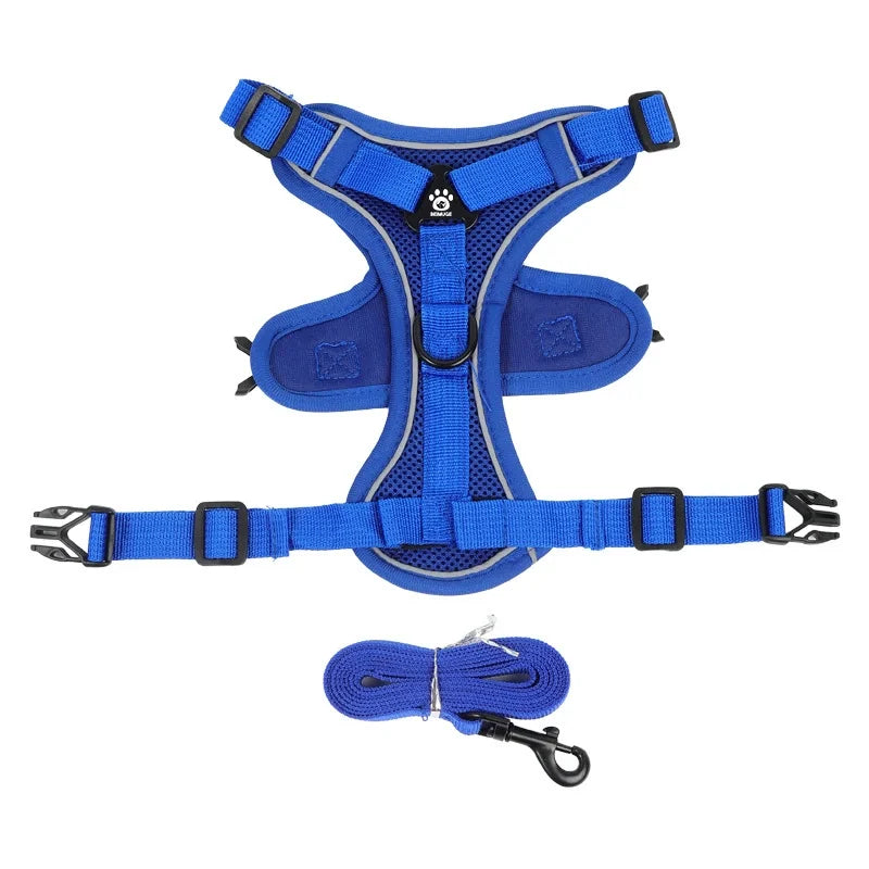 Lum iPaw™ Reflective Comfort Harness & Leash Set