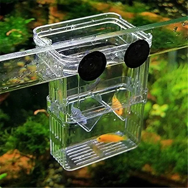 AquaNest Floating Breeding & Recovery Chamber