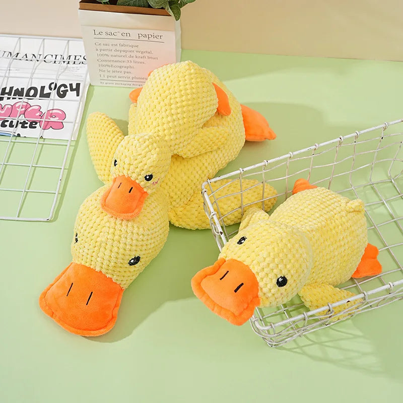 Quack Paw™ Interactive Squeaky Duck Toy