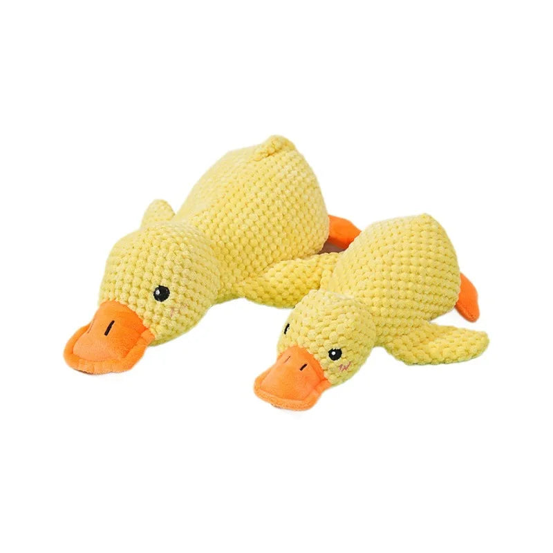Quack Paw™ Interactive Squeaky Duck Toy