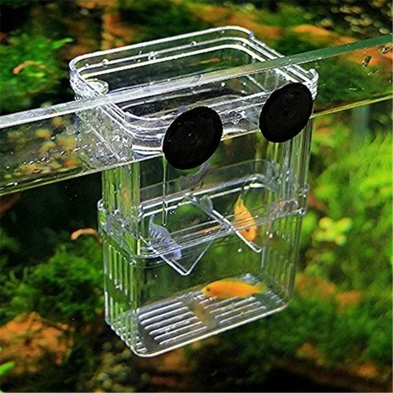 AquaNest Floating Breeding & Recovery Chamber