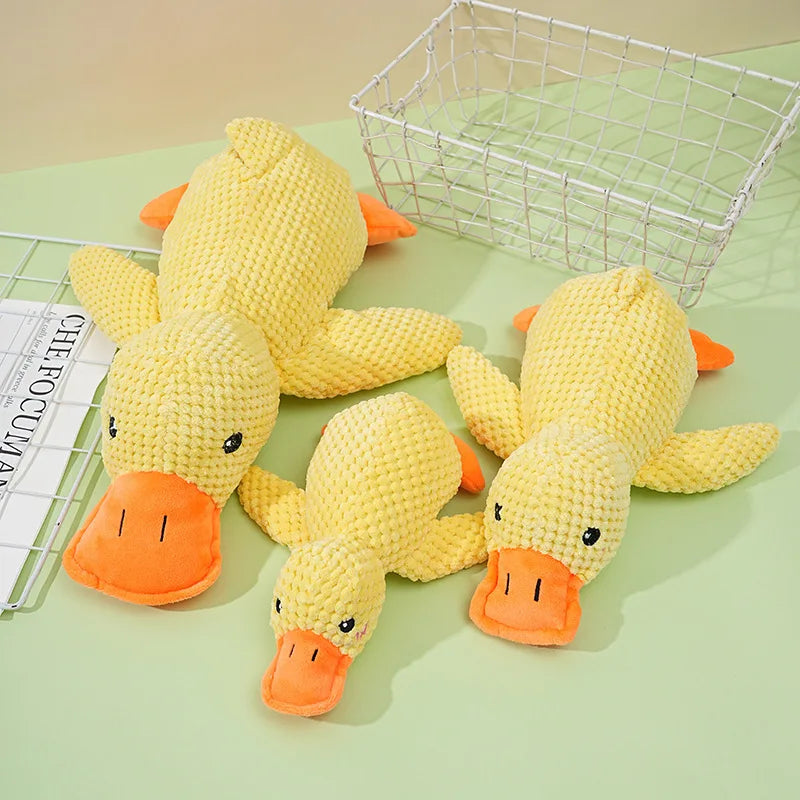 Quack Paw™ Interactive Squeaky Duck Toy