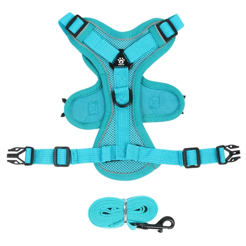 Lum iPaw™ Reflective Comfort Harness & Leash Set