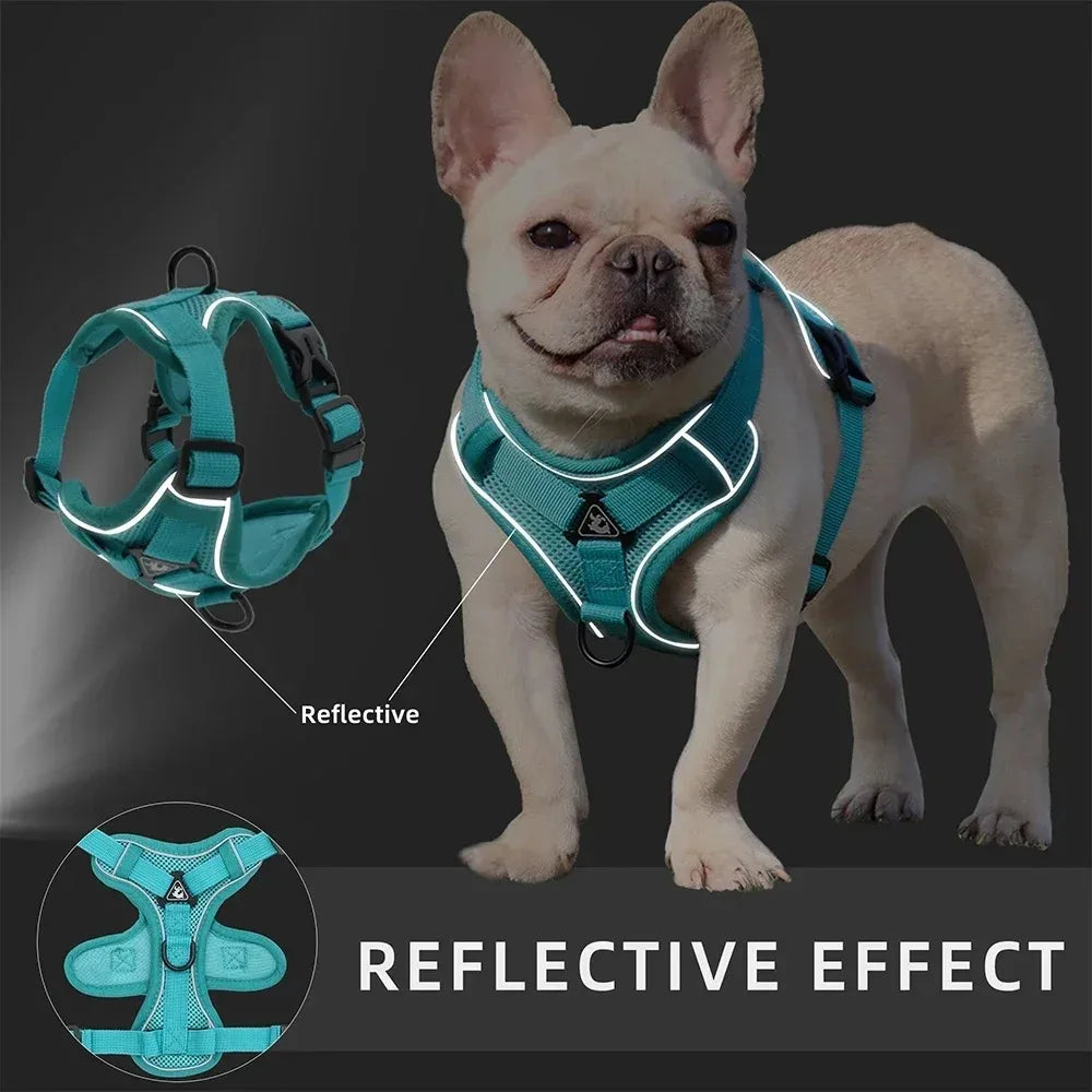 Lum iPaw™ Reflective Comfort Harness & Leash Set