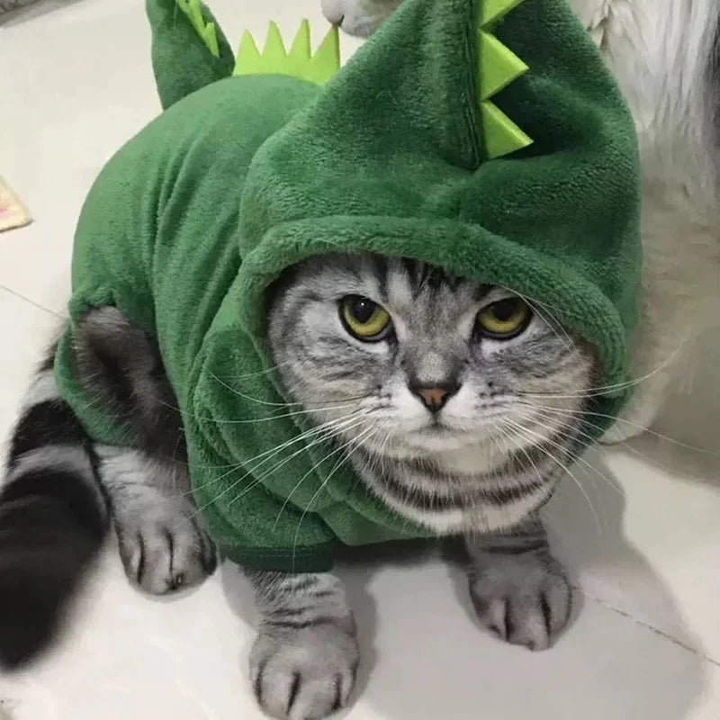 Roar Paws™ Cozy Dino Pet Costume