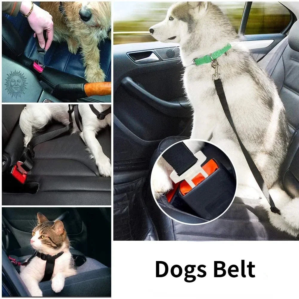 Drive Guard™ Adjustable Pet Safety Seatbelt Clip