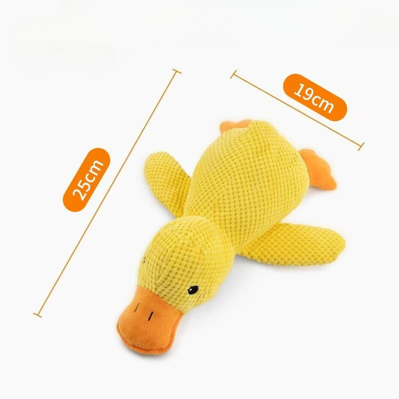 Quack Paw™ Interactive Squeaky Duck Toy