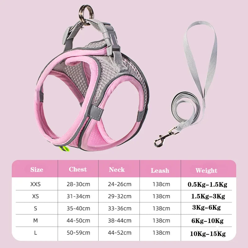 Flexi Paw™ Reflective Comfort Harness & Leash Set