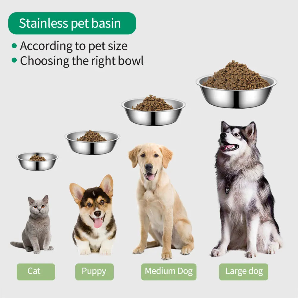 Paw Dine™ Stainless Steel Feeding Bowl