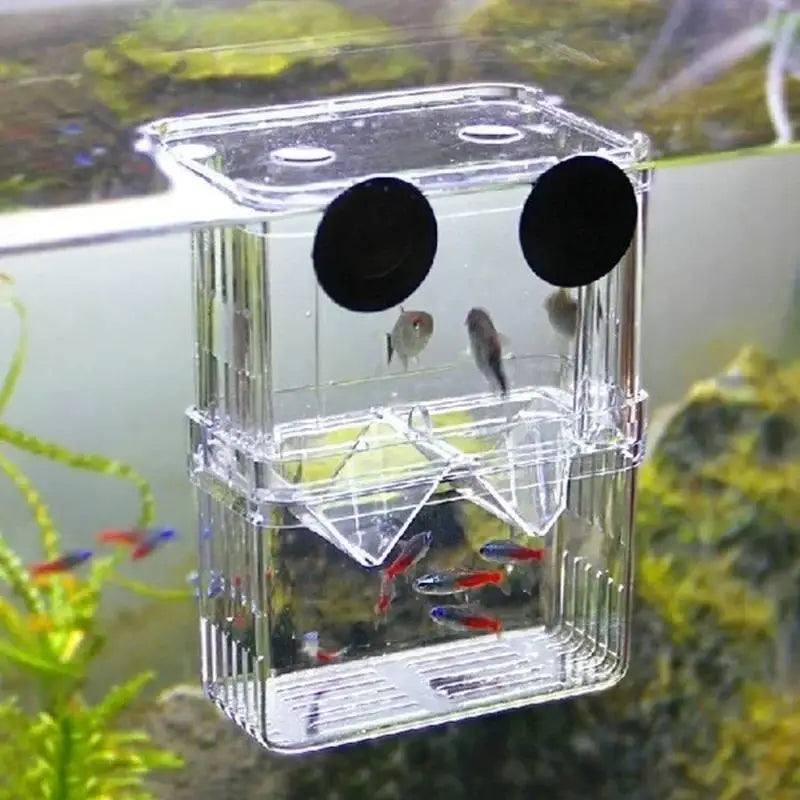 AquaNest Floating Breeding & Recovery Chamber