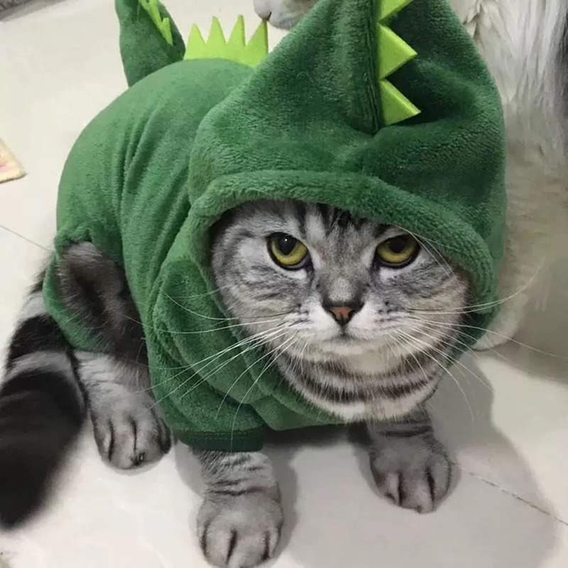 Roar Paws™ Cozy Dino Pet Costume