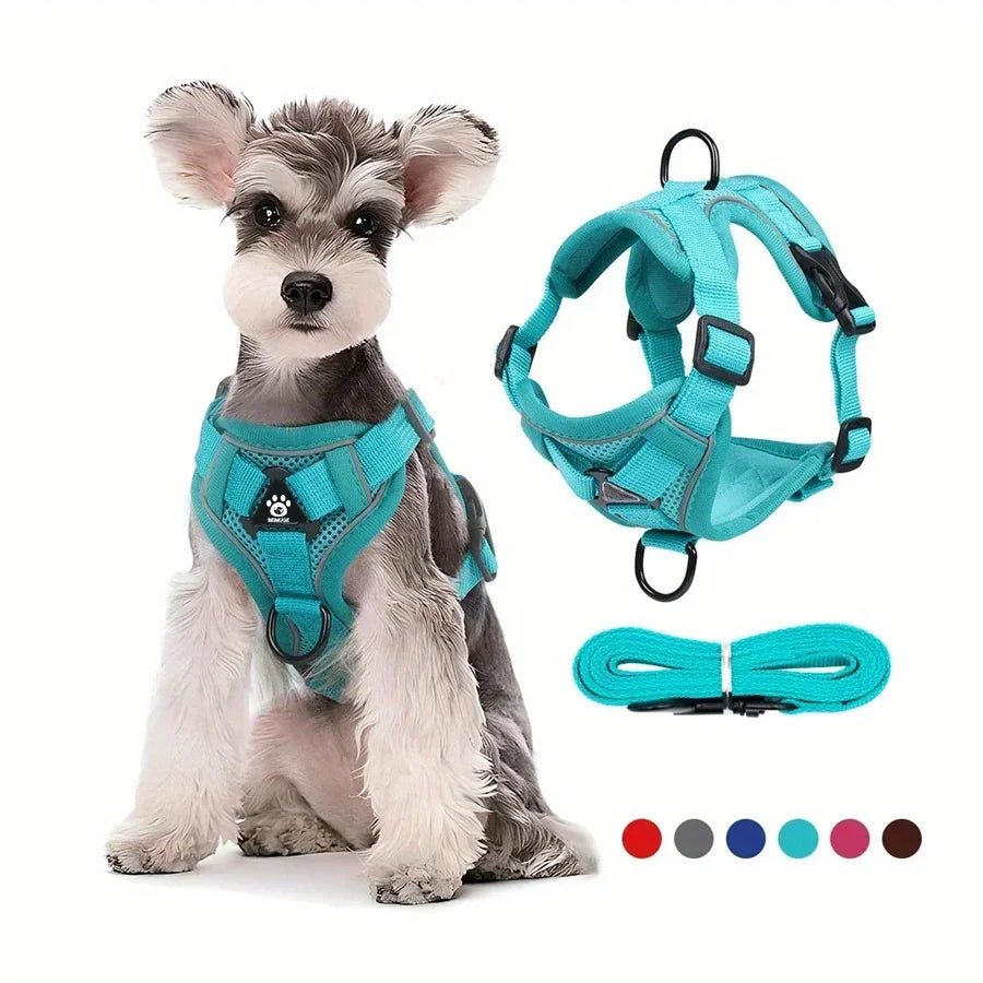 Lum iPaw™ Reflective Comfort Harness & Leash Set