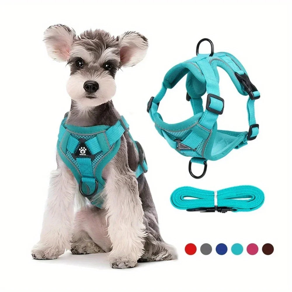 Lum iPaw™ Reflective Comfort Harness & Leash Set