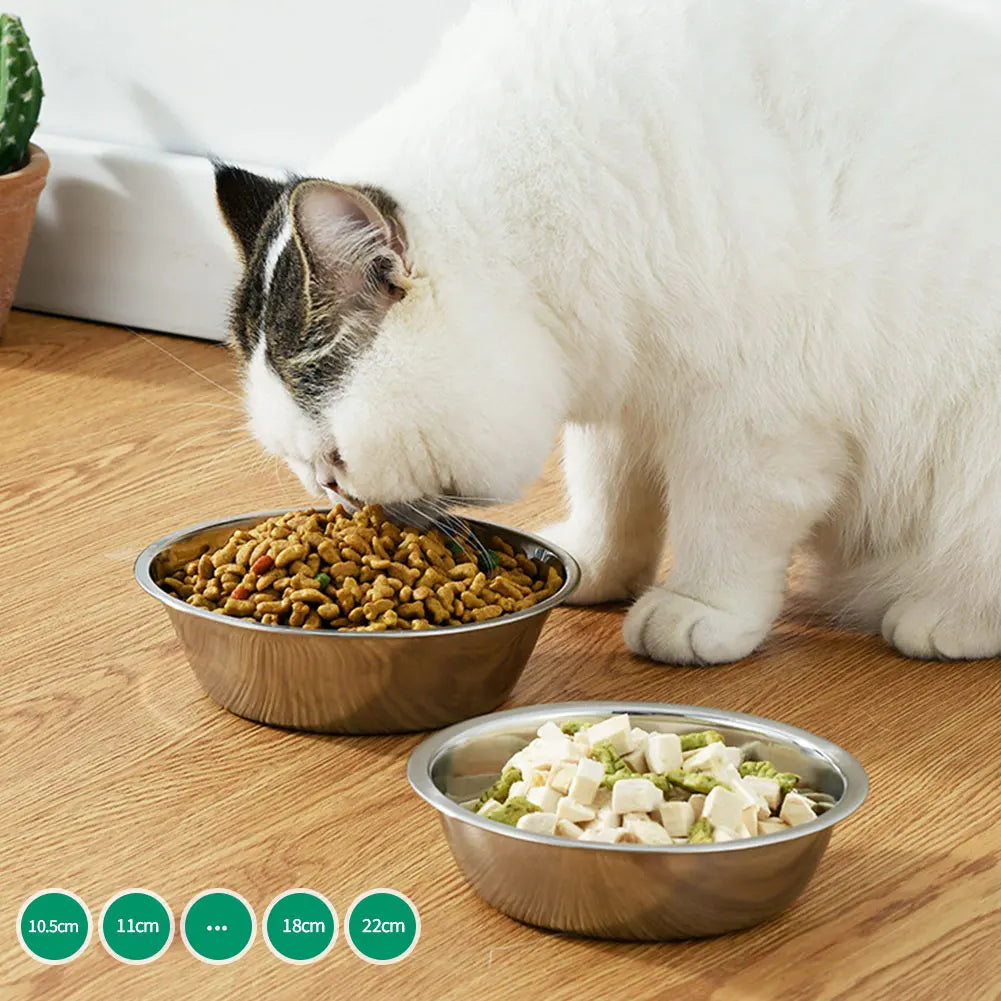 Paw Dine™ Stainless Steel Feeding Bowl
