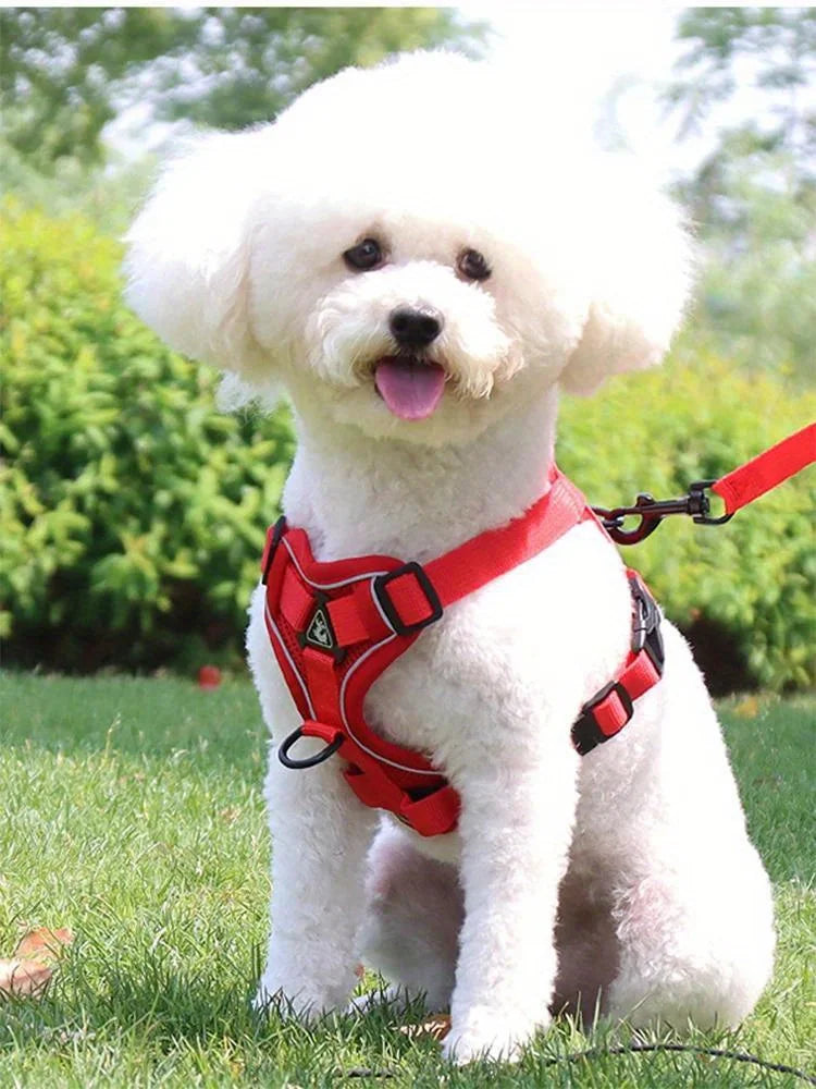 Lum iPaw™ Reflective Comfort Harness & Leash Set