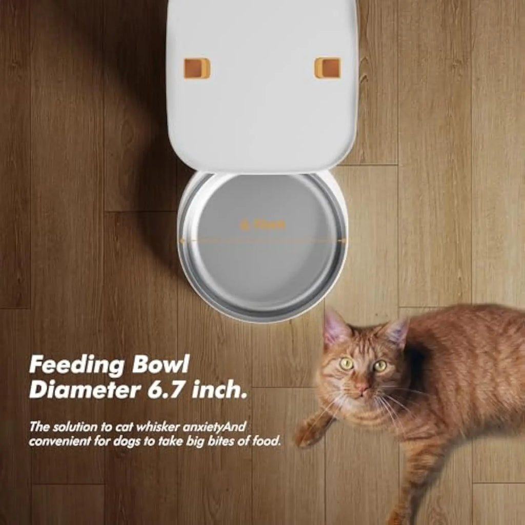Furpipi™ Smart Vision 8L Auto Feeder