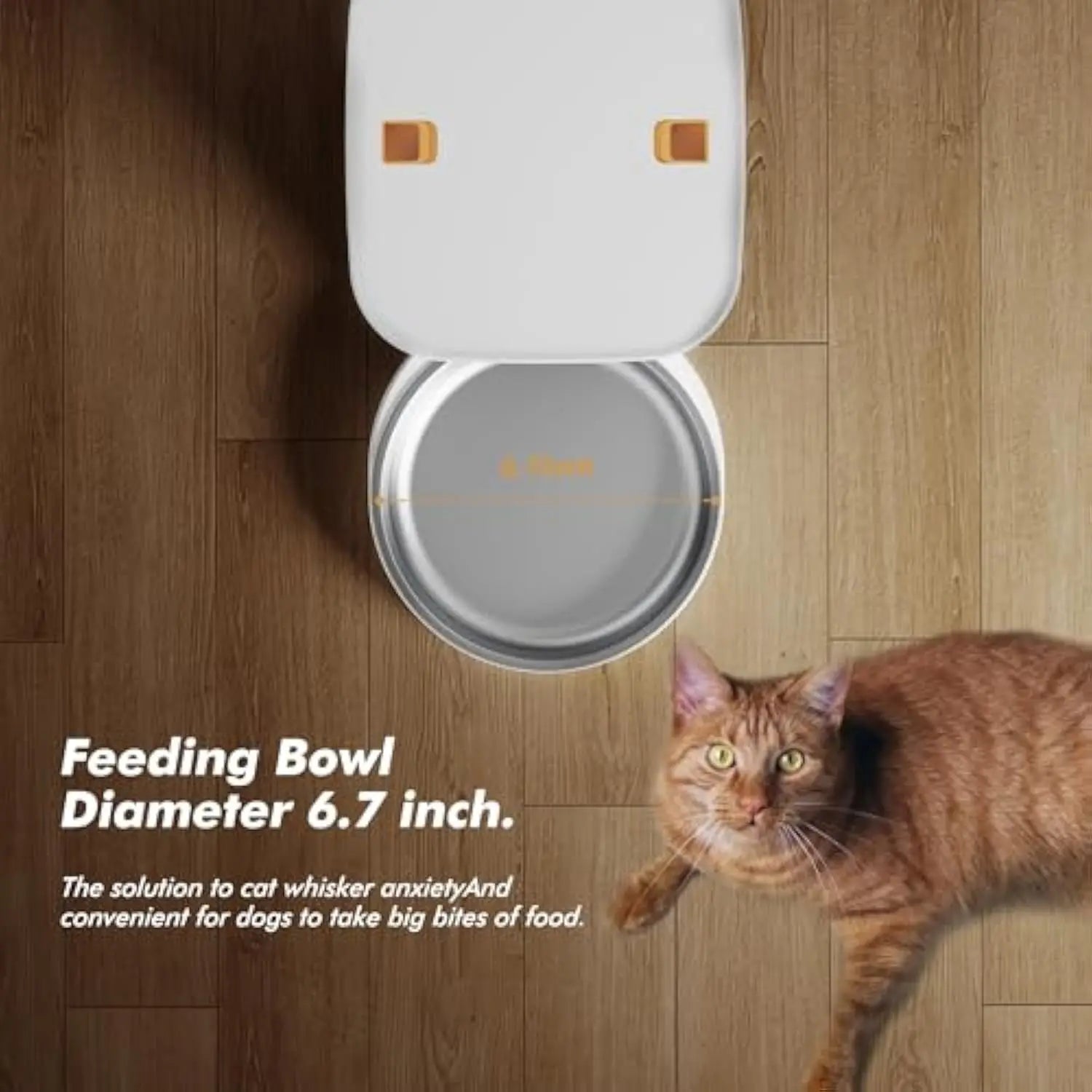 Furpipi™ Smart Vision 8L Auto Feeder