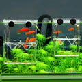 AquaNest Floating Breeding & Recovery Chamber