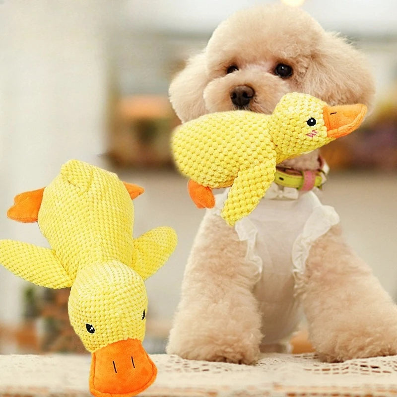 Quack Paw™ Interactive Squeaky Duck Toy