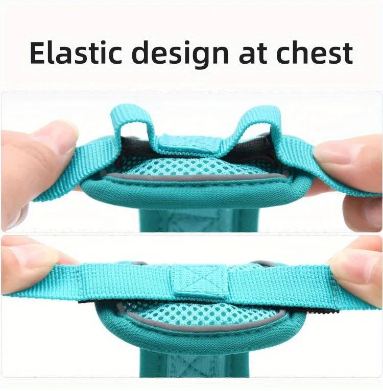 No Pull Dog Harness and Leash Set Adjustable Pet Harness Vest for Small Dogs Cats Reflective Dog Chest Strap Lead Walking
