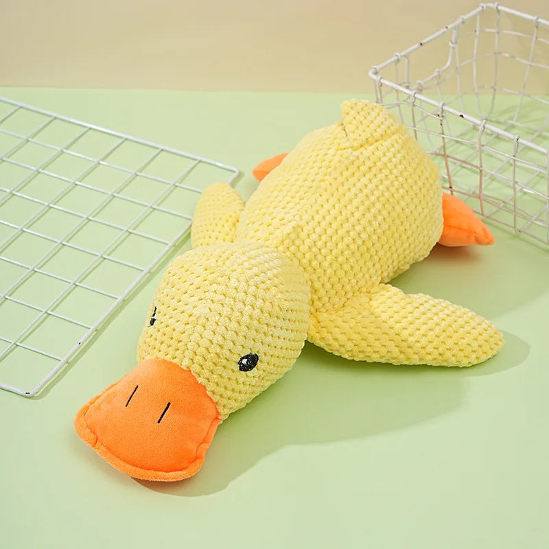 Quack Paw™ Interactive Squeaky Duck Toy