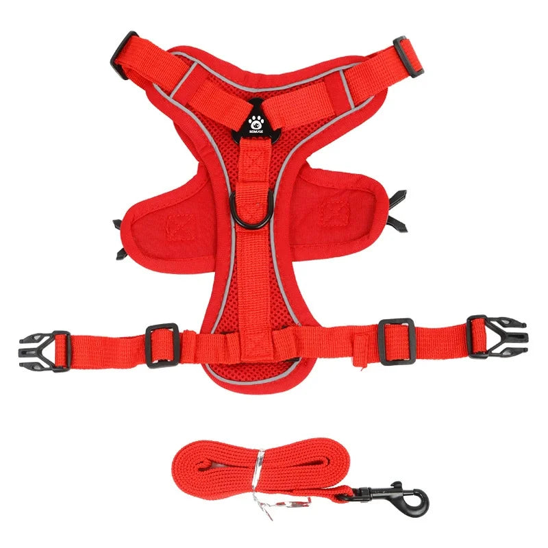 Lum iPaw™ Reflective Comfort Harness & Leash Set