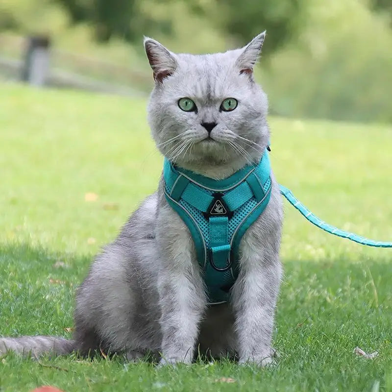 Lum iPaw™ Reflective Comfort Harness & Leash Set