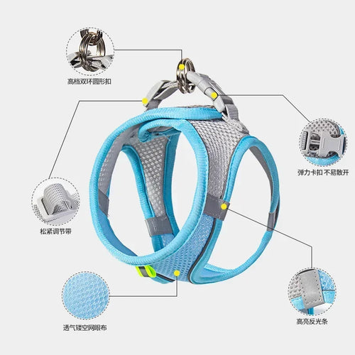 Flexi Paw™ Reflective Comfort Harness & Leash Set