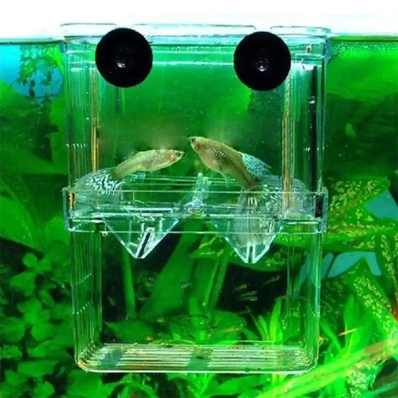 Transparent Fish Aquarium High Clear Breeding Isolation Box Pet Supplies Breeder Tank Double Guppies Hatching Incubator