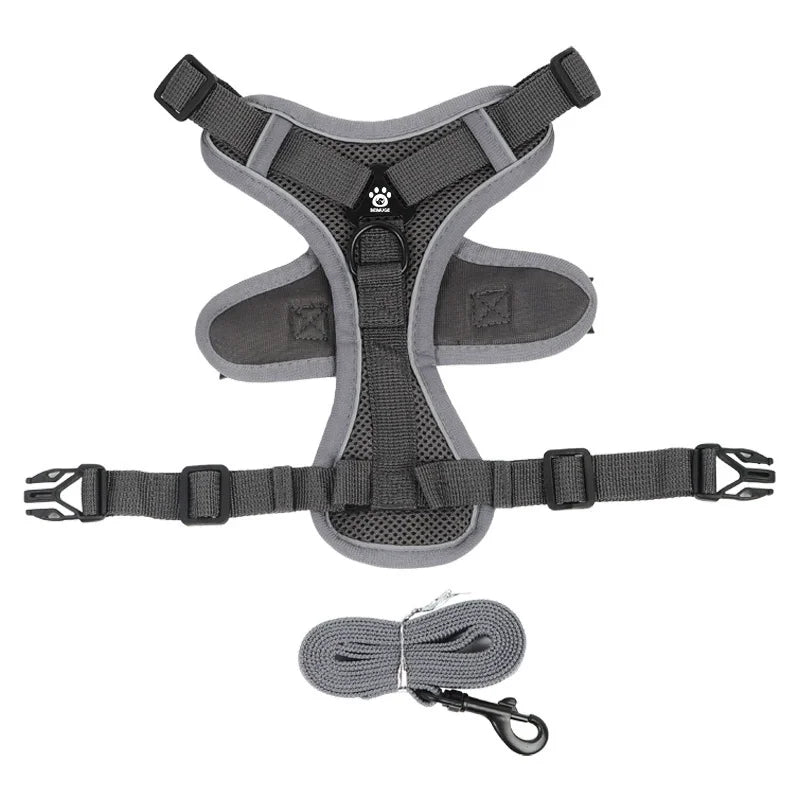 Lum iPaw™ Reflective Comfort Harness & Leash Set