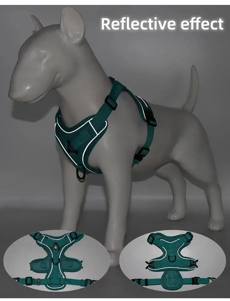 Lum iPaw™ Reflective Comfort Harness & Leash Set