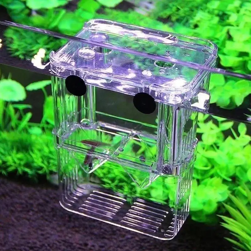 AquaNest Floating Breeding & Recovery Chamber