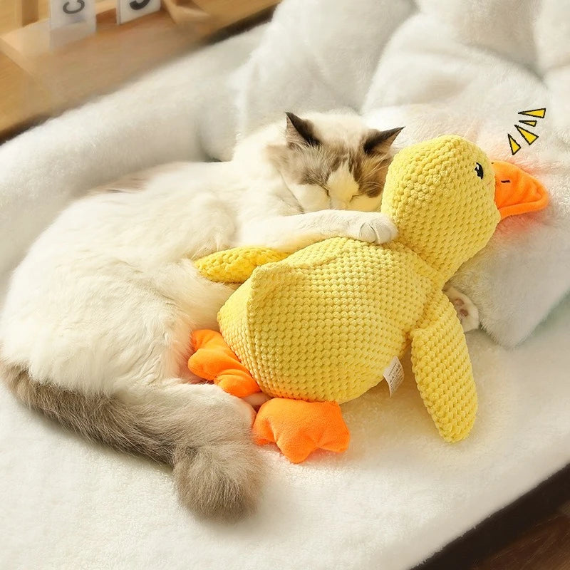 Quack Paw™ Interactive Squeaky Duck Toy
