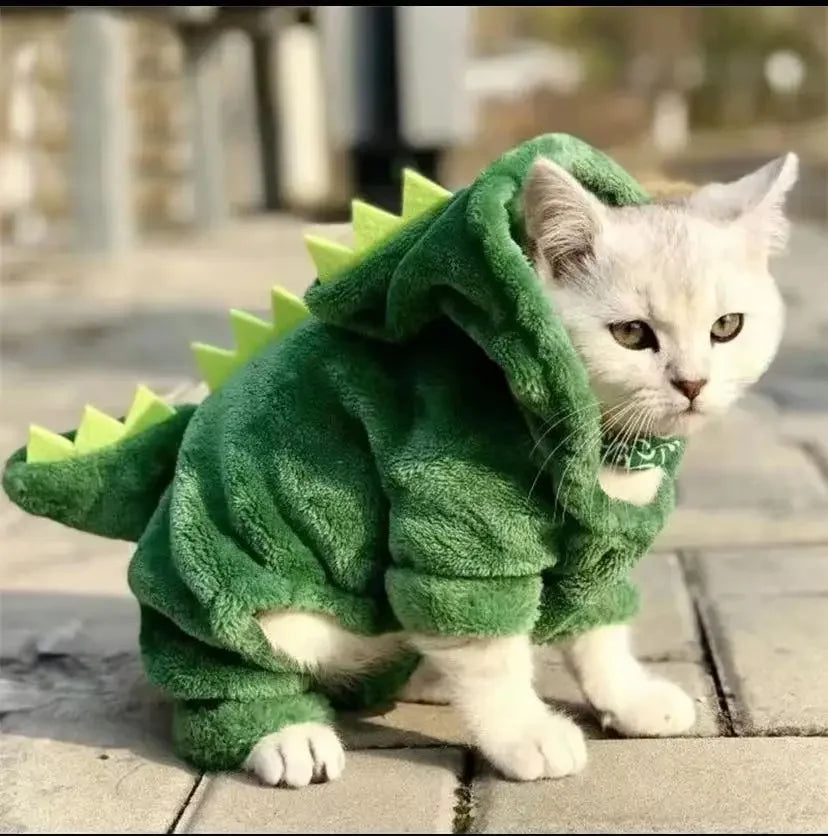 Roar Paws™ Cozy Dino Pet Costume