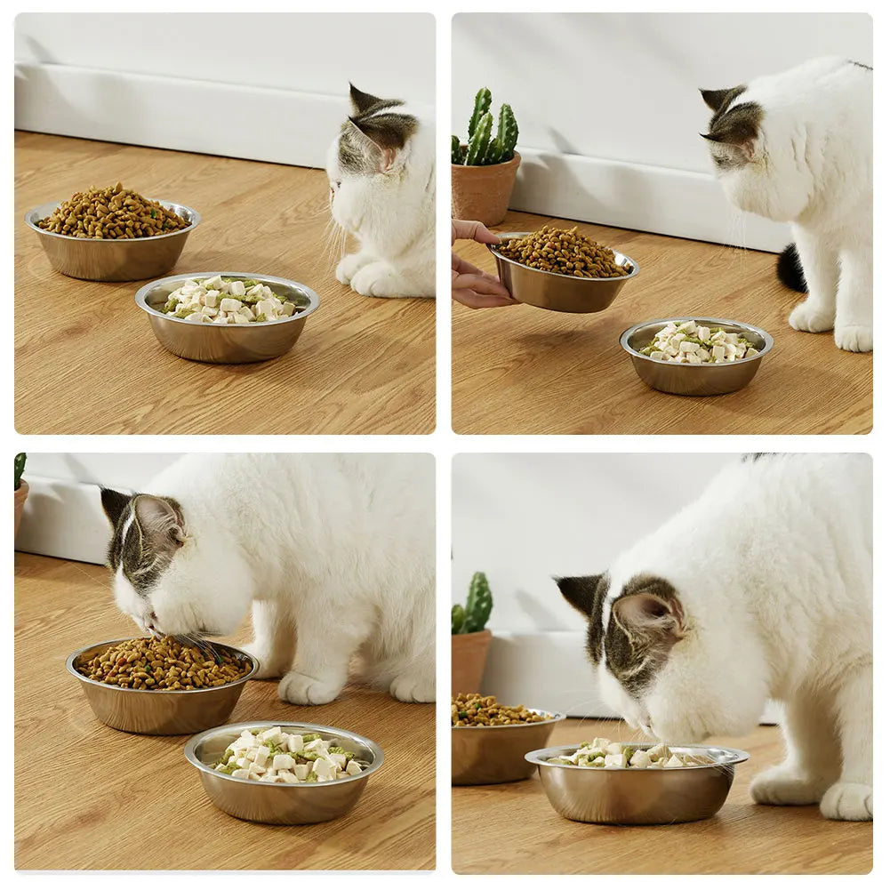 Paw Dine™ Stainless Steel Feeding Bowl
