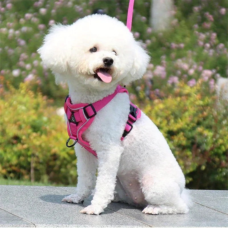 Lum iPaw™ Reflective Comfort Harness & Leash Set
