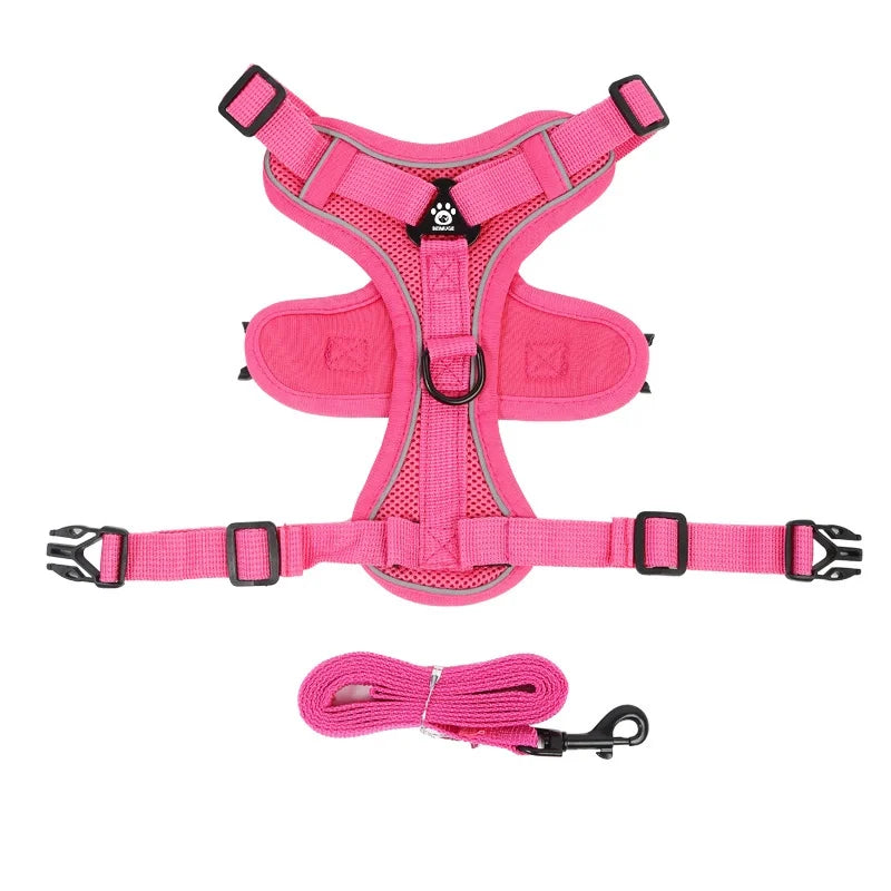 Lum iPaw™ Reflective Comfort Harness & Leash Set