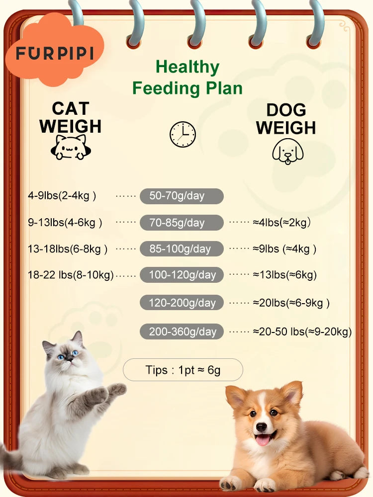 5G Automatic Cat Feeder With 1080p Camera Video WiFi Cat Food Dispenser Pet Smart Voice Recorder Remote Control Pet Auto Feeder