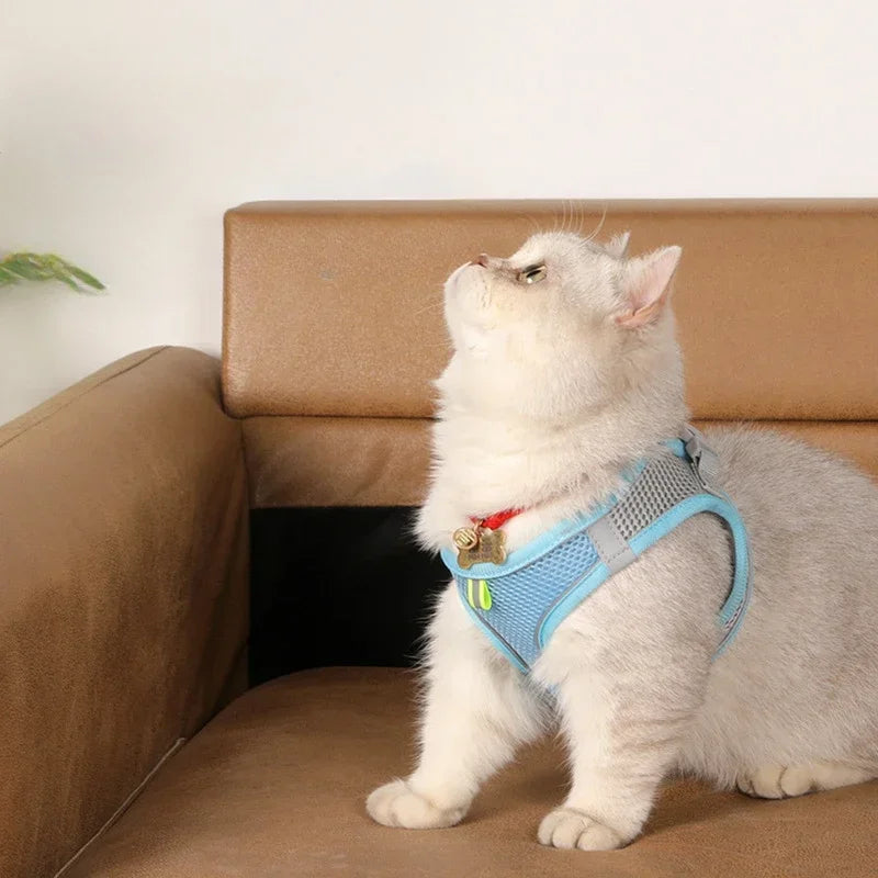 Flexi Paw™ Reflective Comfort Harness & Leash Set