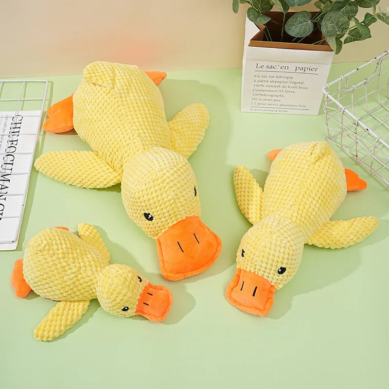 Quack Paw™ Interactive Squeaky Duck Toy